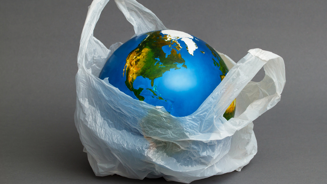 Plasticfree July e i collegamenti con la moda eco-friendly