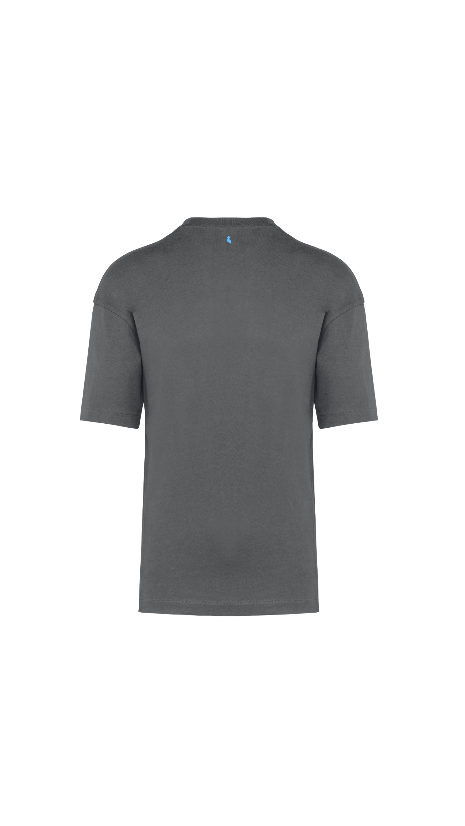 T-shirt Oversized in Cotone Biologico - Fumè | Shenty