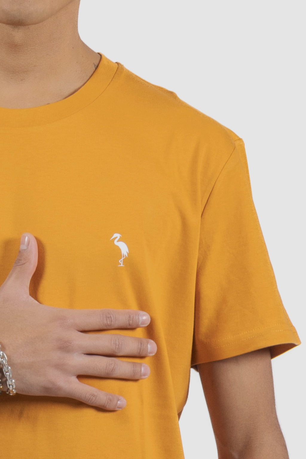 t-shirt logo pumpkin 1